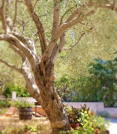 Διαμέρισμα Donat