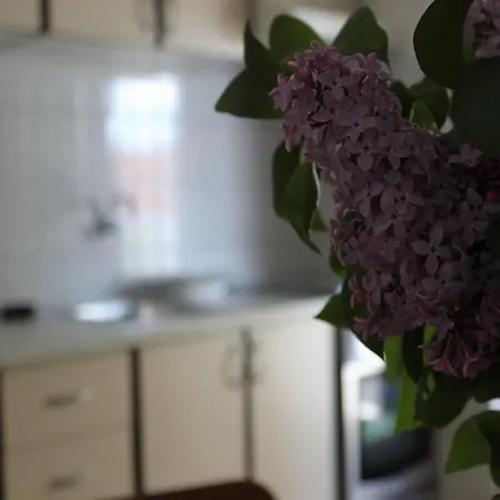 דירה Donat זאדאר