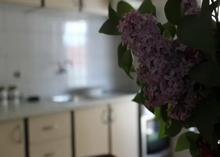 アパート Donat ザダル